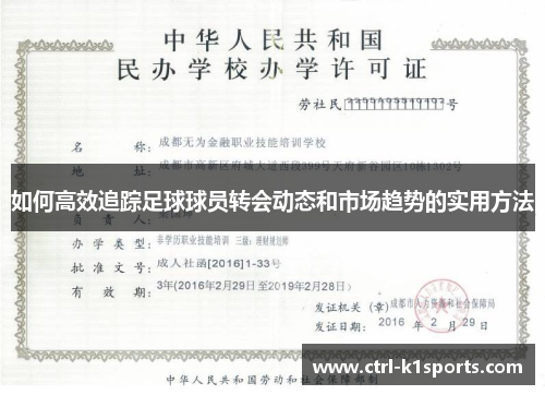 如何高效追踪足球球员转会动态和市场趋势的实用方法