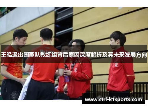 王皓退出国家队教练组背后原因深度解析及其未来发展方向