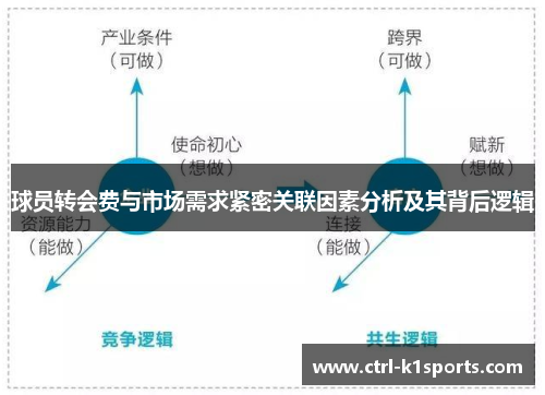 球员转会费与市场需求紧密关联因素分析及其背后逻辑