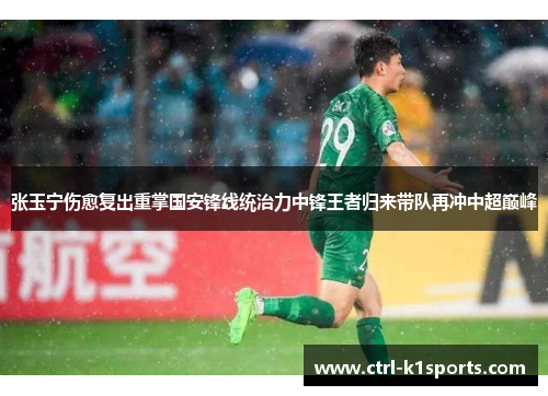 张玉宁伤愈复出重掌国安锋线统治力中锋王者归来带队再冲中超巅峰 张玉宁伤愈复出重掌国安锋线统治力中锋王者归来带队再冲中超巅峰